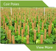 coir-pole-products